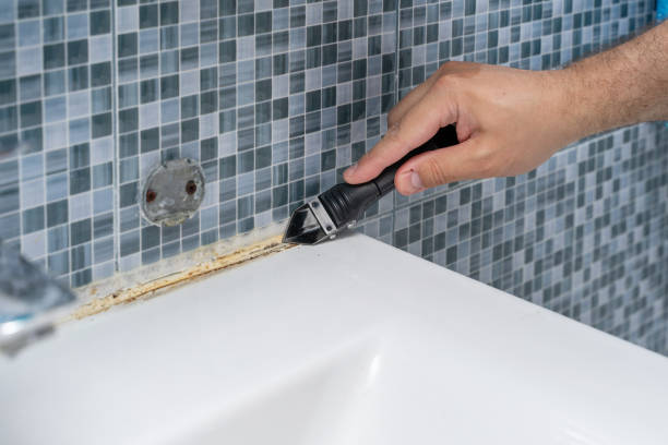 Best Mold Inspection  in Sunnyside, GA