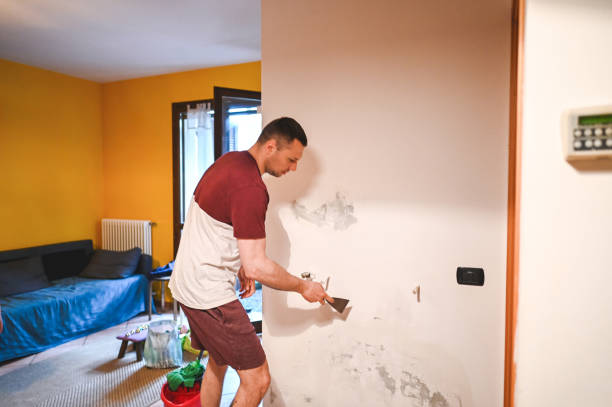 Best Best Mold Removal Companies  in Sunnyside, GA